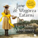 Okładka książki „Jane ze Wzgórza Latarni” Lucy Maud Montgomery utrzymana jest w nostalgicznym, malarskim stylu i przedstawia dziewczynkę w jasnej sukni i słomkowym kapeluszu, stojącą nad morskim brzegiem z koszykiem kwiatów, na tle latarni morskiej i domu położonych na skalistym wzgórzu. Dominują delikatne błękity, beże i żółcie, a duża kokarda oraz subtelny nadmorski krajobraz nadają całości ciepły, romantyczny charakter.